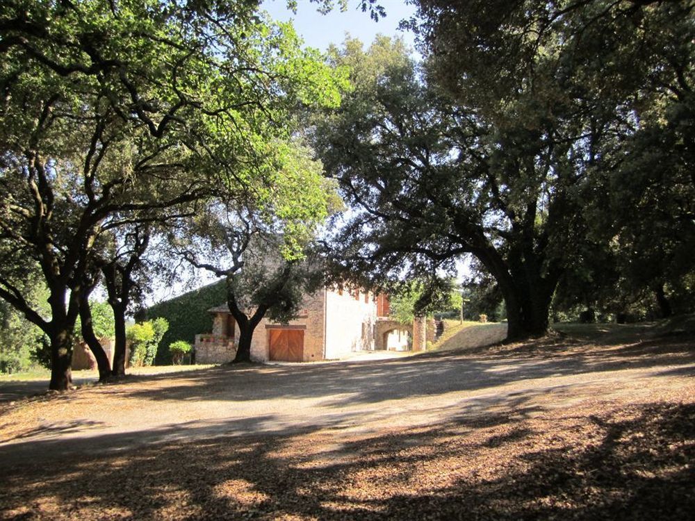 Domaine Du - Teritoria